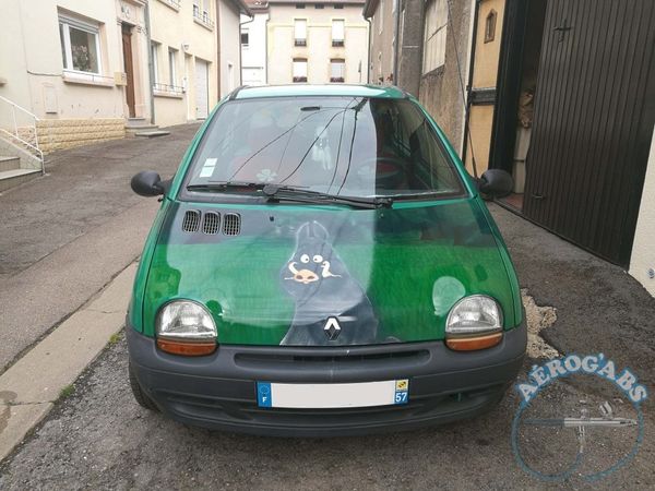 Ma Twingo « Astérix & Obélix »