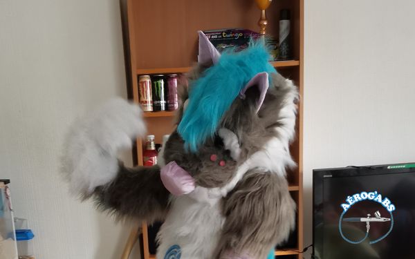 Ma Fursuit